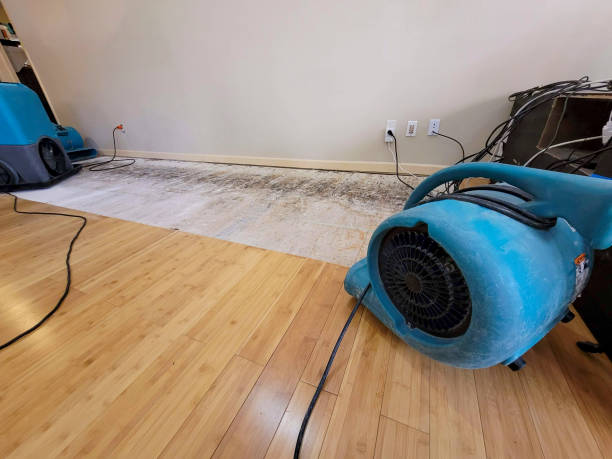 Professional Water Removal technician working in Montesano, WA
